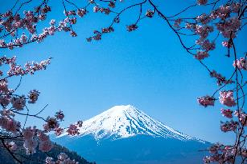 japan travel insurance
